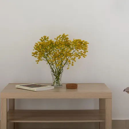 Dara Nikiti (Sithonia)