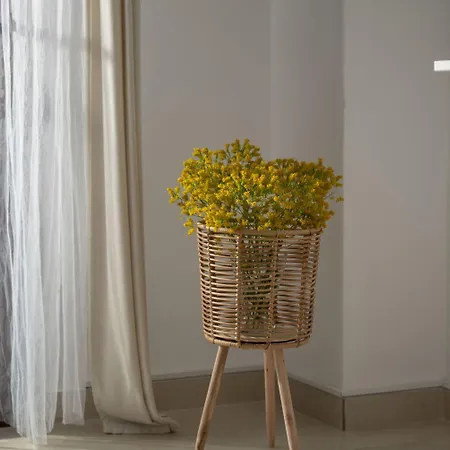 Apartmán Dara Nikiti (Sithonia)